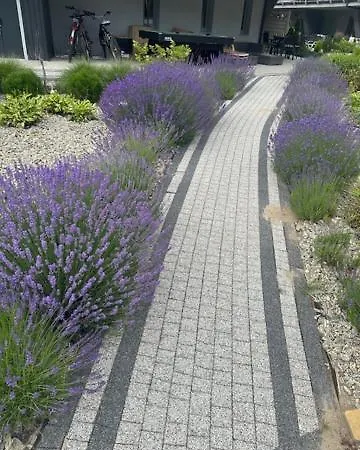 Lejlighed Silence Gold Club *