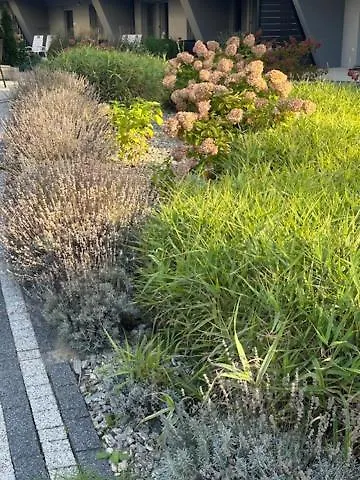 Silence Gold Club Pobierowo