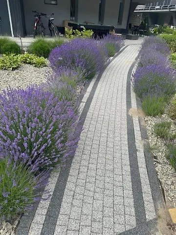 Apartment Silence Gold Club *